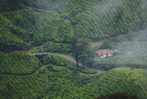 Kerala Trip Packages From Seasonz India holdiays
