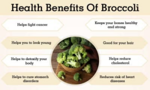 The Health Benefits of Eating Broccoli-4228c70f